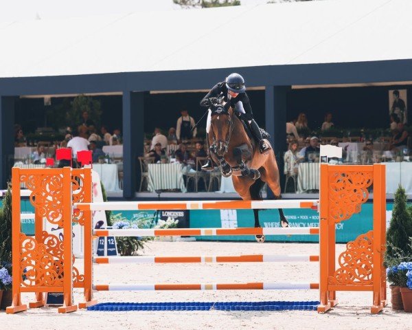 Springpferd Bubado (Schwedisches Warmblut, 2015, von VDL Bubalu)