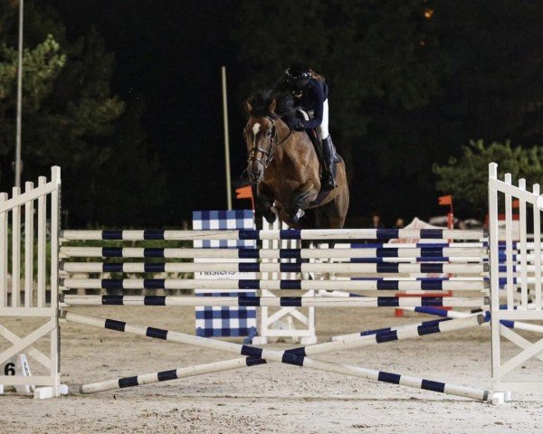 jumper Rialto Courcelle (Selle Français, 2005, from Kannan)
