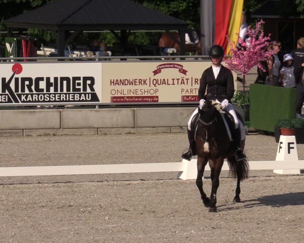 Reitturnier Dorfchemnitz 2025