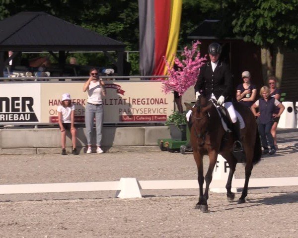 Reitturnier Dorfchemnitz 2025