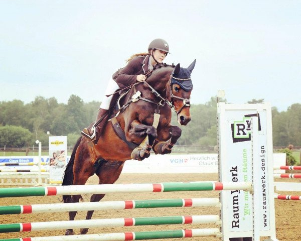 jumper Colada E (Oldenburg, 2008, from Florianus)