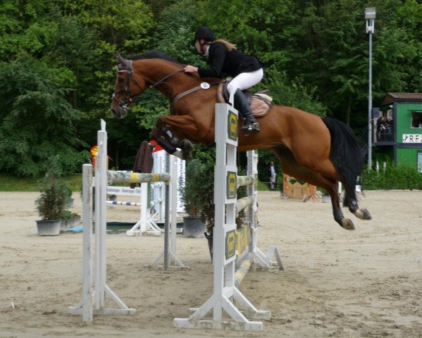 jumper Asterix 510 (Westphalian, 2001, from Amantus)