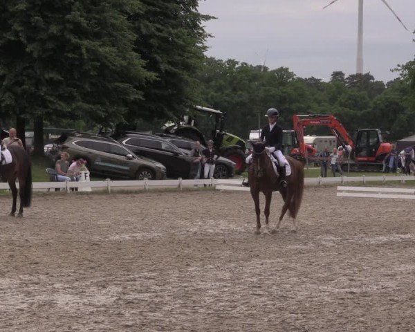 Reitturnier Coesfeld/Lette 2025