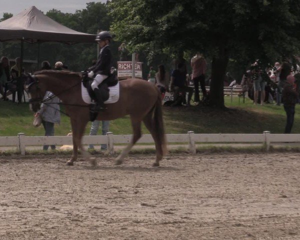 Reitturnier Coesfeld/Lette 2025