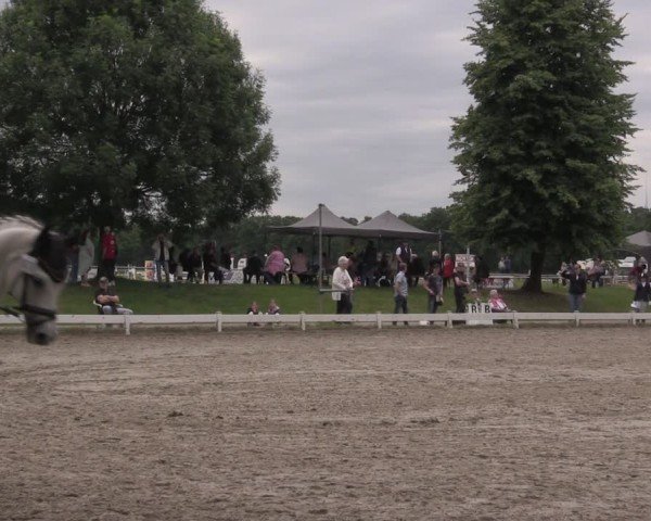 Reitturnier Coesfeld/Lette 2025