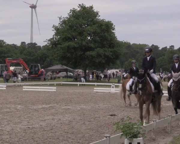 Reitturnier Coesfeld/Lette 2025