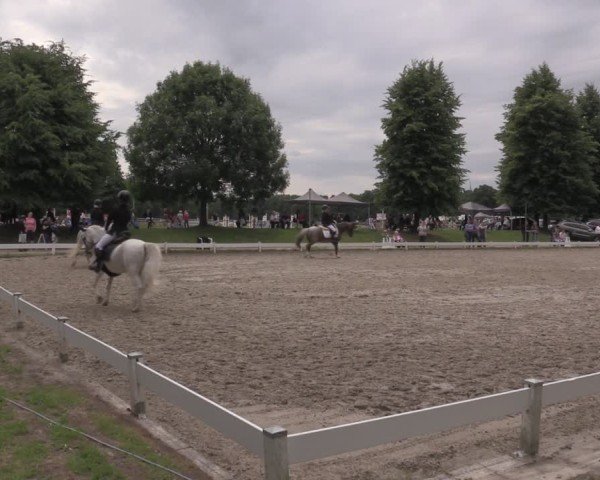 Reitturnier Coesfeld/Lette 2025