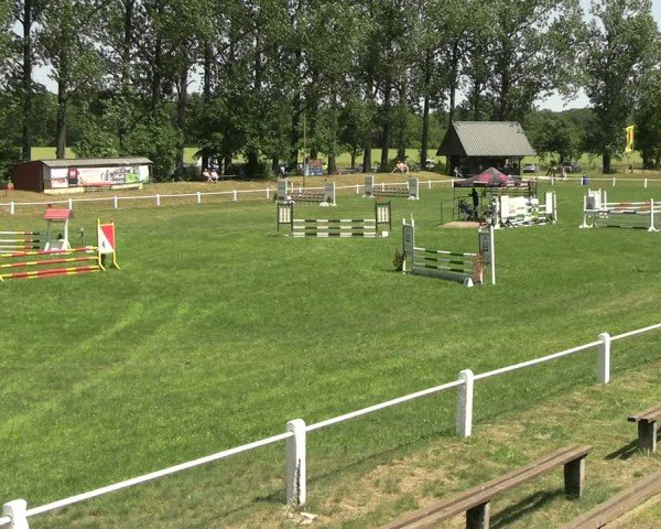 Reitturnier Sonnewalde 2025