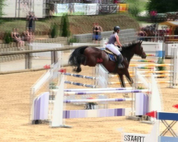 Reitturnier Berching/Opf. 2025