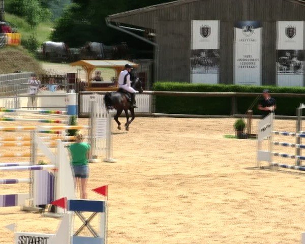 Reitturnier Berching/Opf. 2025