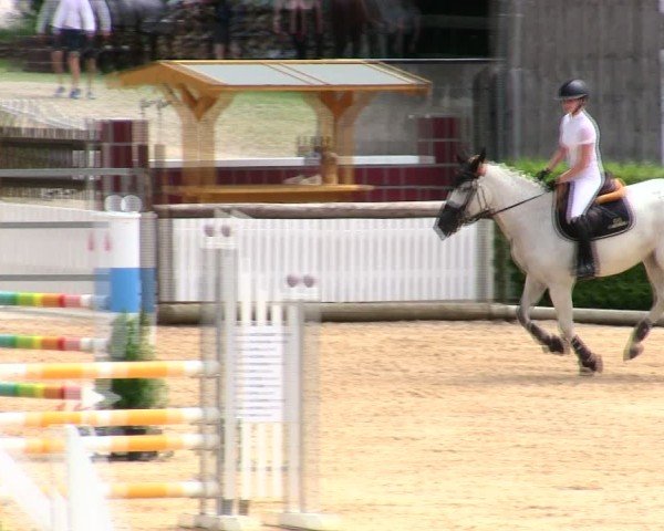 Reitturnier Berching/Opf. 2025