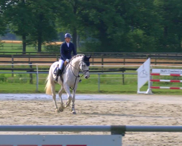 Reitturnier Coesfeld/Lette 2025