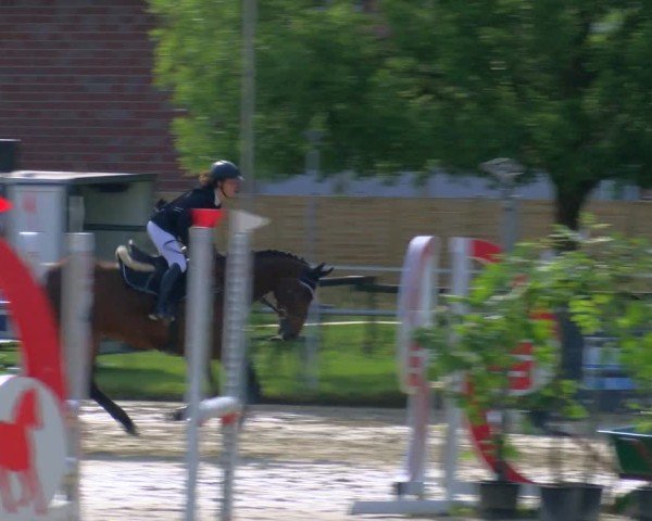 Reitturnier Coesfeld/Lette 2025