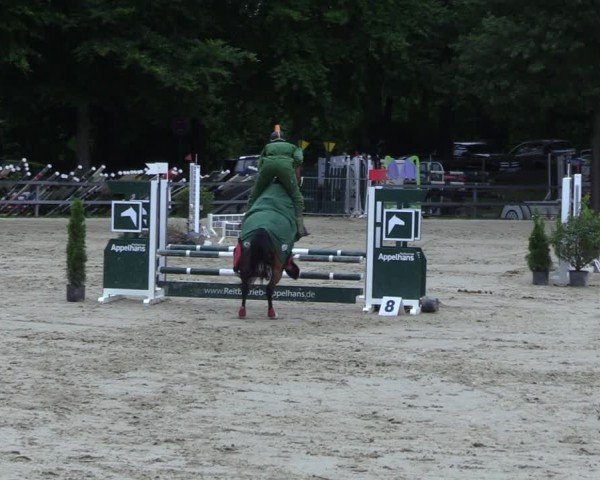 Reitturnier Letmathe 2025