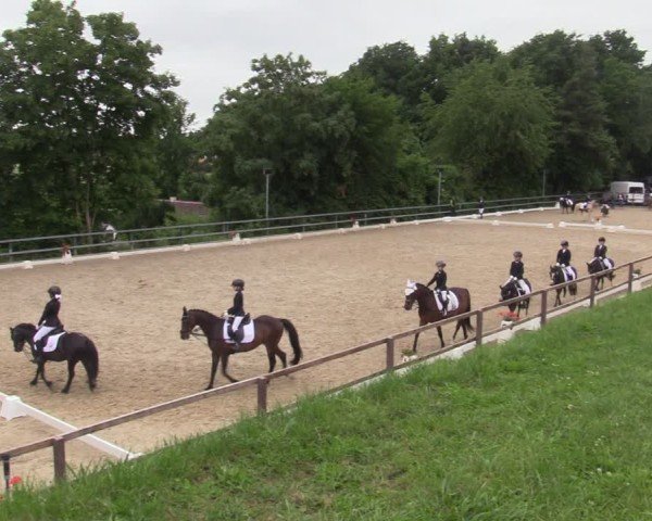 Reitturnier Letmathe 2025