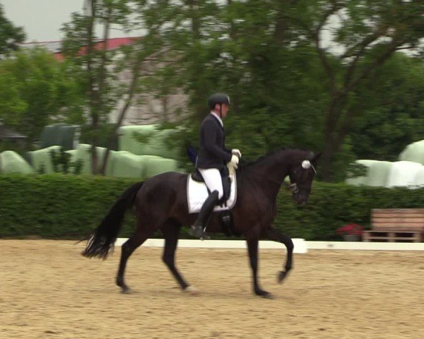 Reitturnier Wingerode 2025