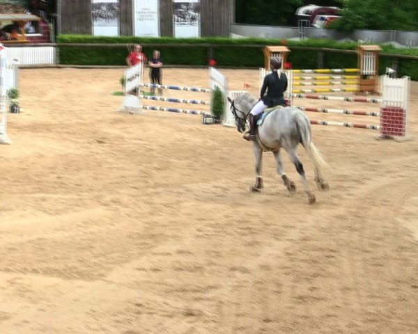 Reitturnier Berching/Opf. 2025