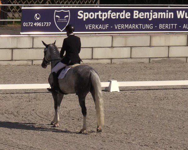 Reitturnier Dorfchemnitz 2025
