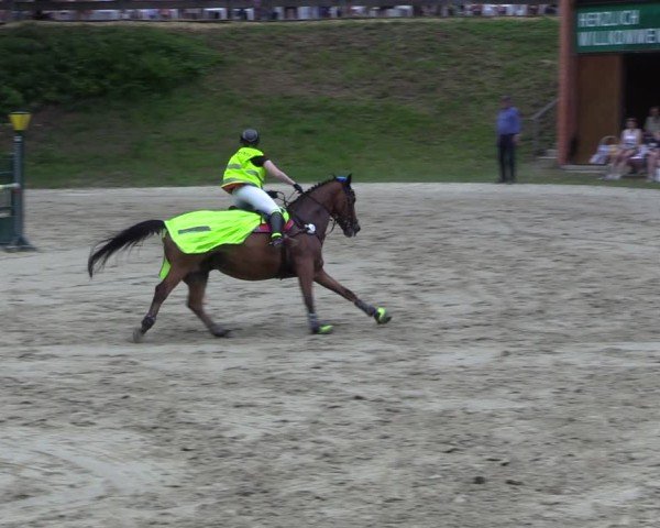 Reitturnier Letmathe 2025