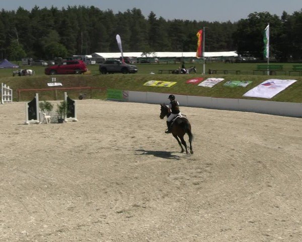 Reitturnier Holschdubrau 2025