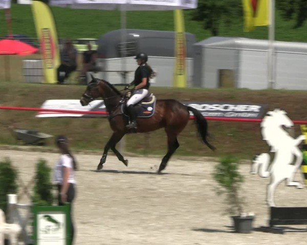 Reitturnier Holschdubrau 2025