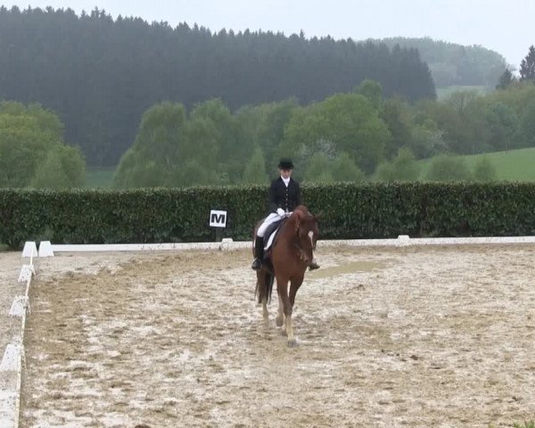 Wipperfürth-Kreuzberg 2014