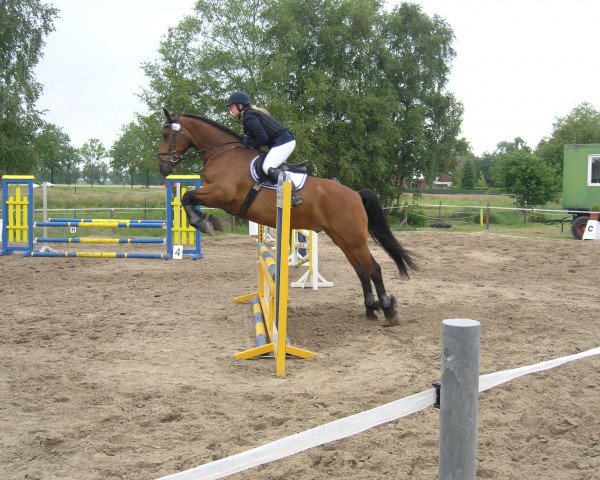 jumper Domino 835 (Friesian-Mix, 2006)