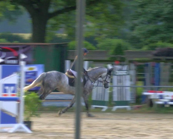 Reitturnier Coesfeld/Lette 2025