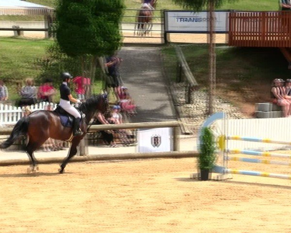 Reitturnier Berching/Opf. 2025