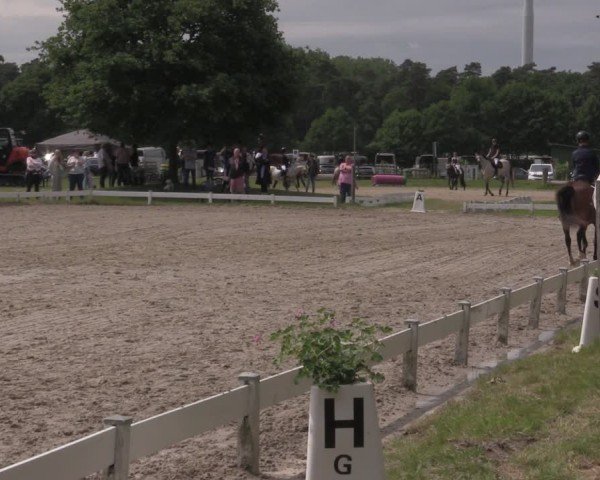 Reitturnier Coesfeld/Lette 2025