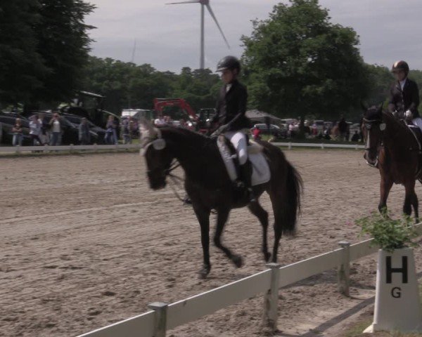 Reitturnier Coesfeld/Lette 2025