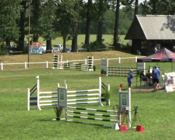 Reitturnier Sonnewalde 2025
