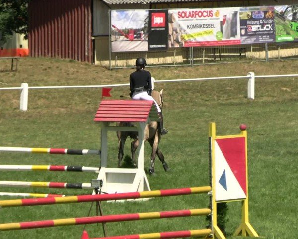 Reitturnier Sonnewalde 2025