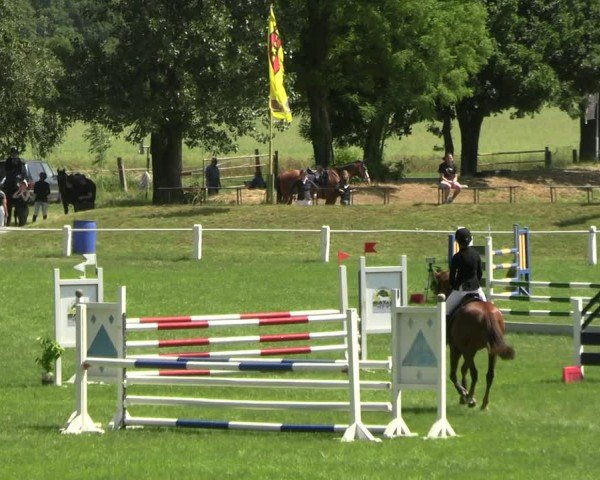 Reitturnier Sonnewalde 2025