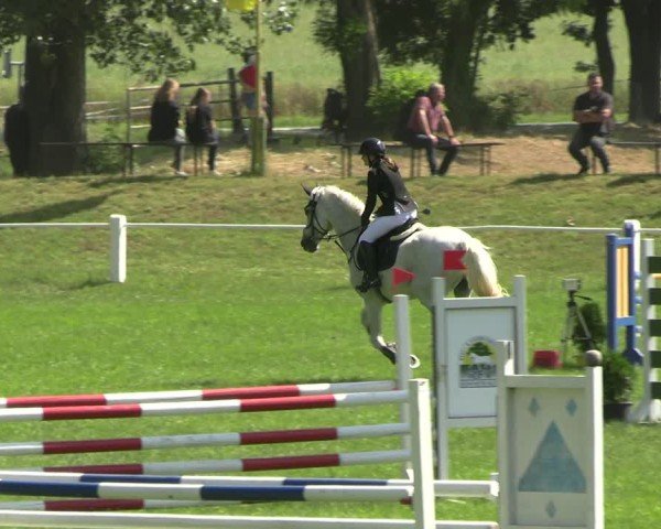 Reitturnier Sonnewalde 2025