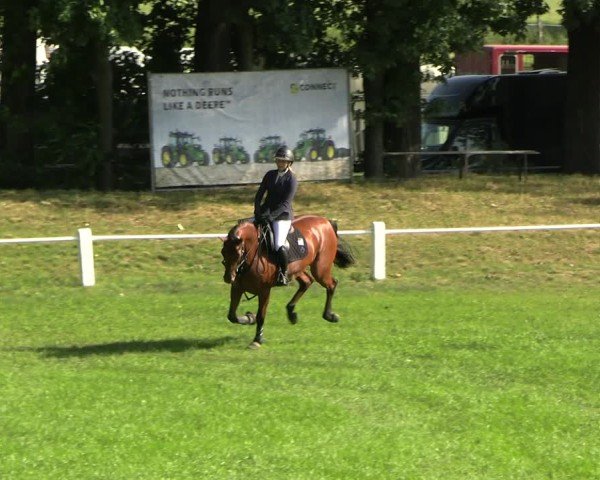 Reitturnier Sonnewalde 2025