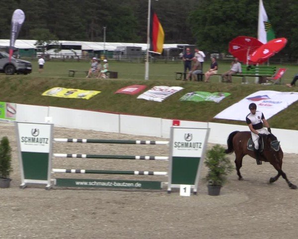 Reitturnier Holschdubrau 2025
