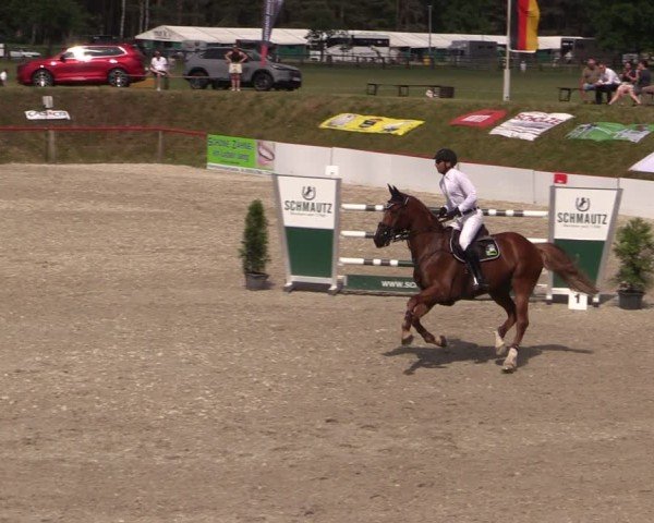 Reitturnier Holschdubrau 2025