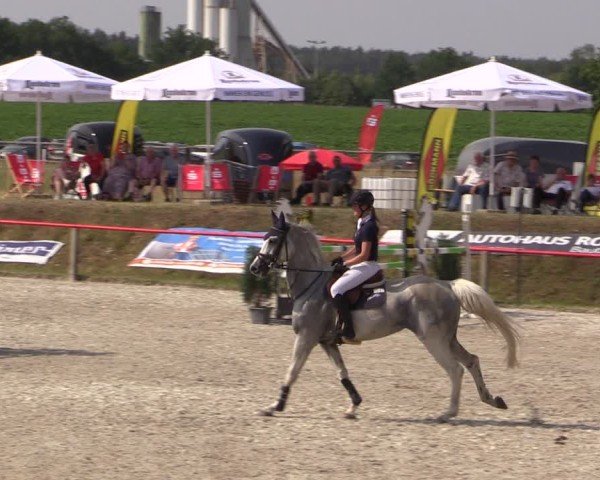 Reitturnier Holschdubrau 2025