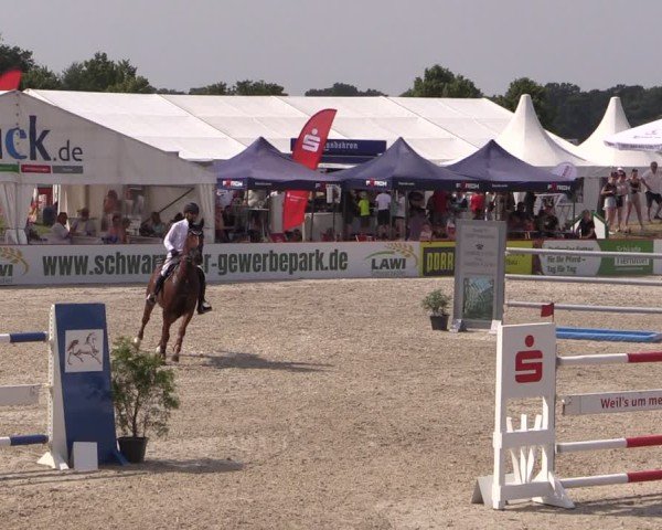 Reitturnier Holschdubrau 2025