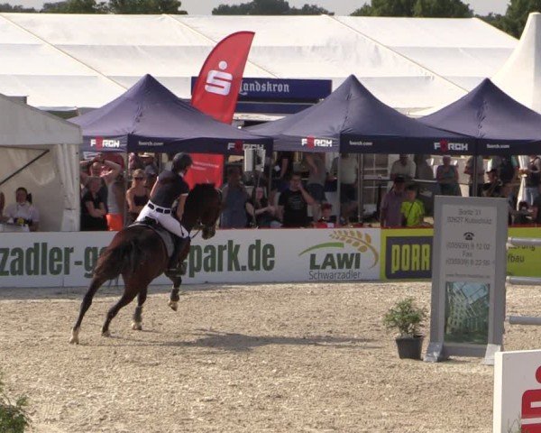 Reitturnier Holschdubrau 2025