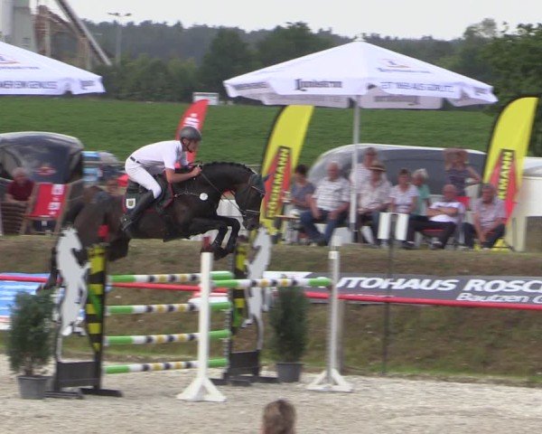 Reitturnier Holschdubrau 2025