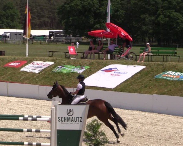 Reitturnier Holschdubrau 2025