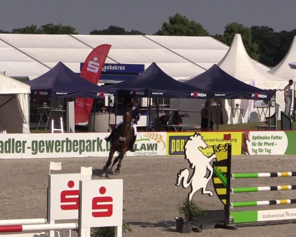 Reitturnier Holschdubrau 2025