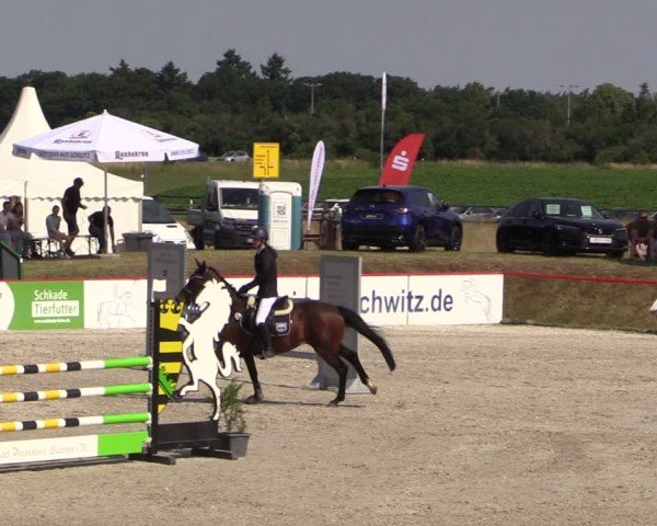 Reitturnier Holschdubrau 2025