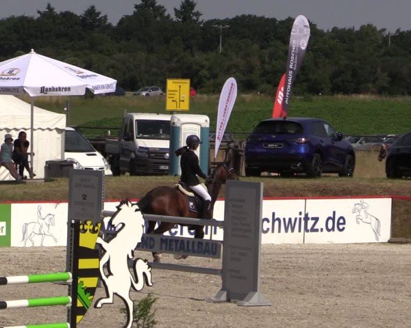 Reitturnier Holschdubrau 2025