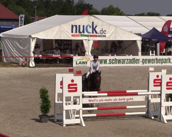Reitturnier Holschdubrau 2025