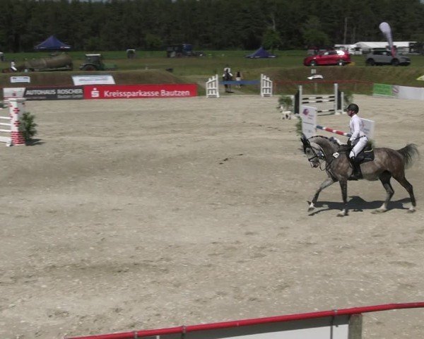 Reitturnier Holschdubrau 2025