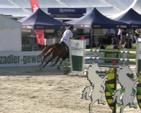 Reitturnier Holschdubrau 2025