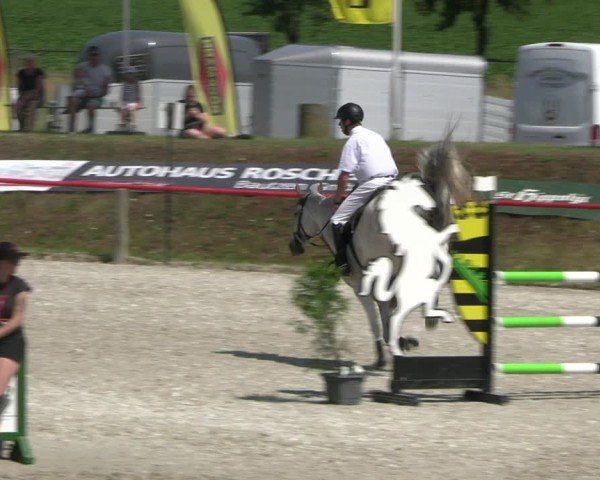 Reitturnier Holschdubrau 2025